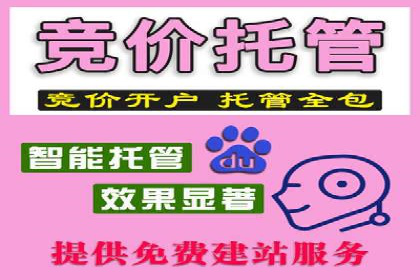 百度推广的收费策略与某公司广告投放效果分析